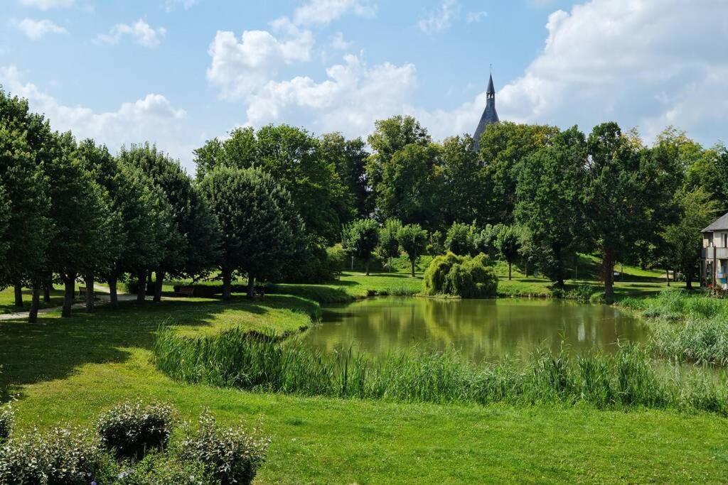 Maison Centre De Bellegarde Avec Jardin Et Terrasse Equipee D'Un Salon De Jardin Et D'Un Barbecue Cuisine Equipee 3 Chambres Avec 2 Lits Double 140X190 Et 2 Lits Simple Chauffage Poele A Granules Parking Gratuit Devant La Maison Bellegarde-du-Loiret 외부 사진